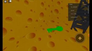 Убегаю от крысы в сырном лабиринте..Roblox  Cheese Escape | Кот YouTube UwU