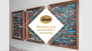 Витрина для коллекции с полками