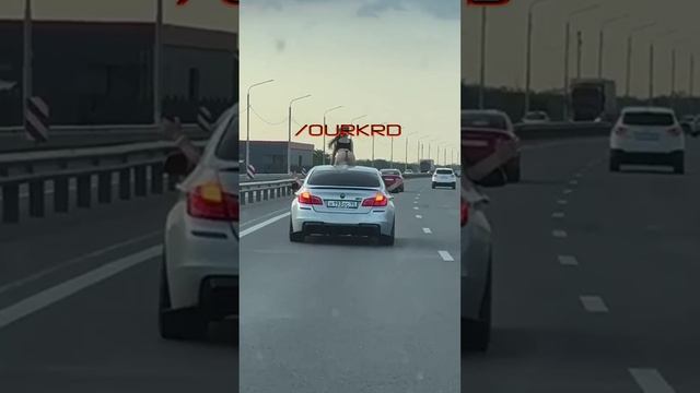 Сегодня на Ростовском шоссе в Краснодаре..