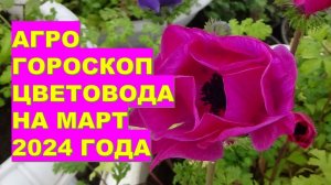 Агрогороскоп цветовода на март 2024 года Florist's agrohoroscope for March 2024