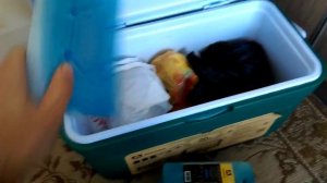 Тест изотермического контейнира Арктика. Тест пройден))