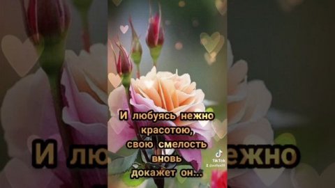 Музыкальная открытка
