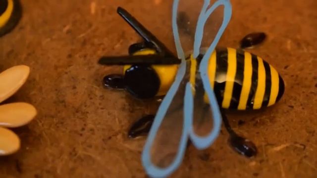 Полтавка створює панно з насіння. Частина ІІ смотреть онлайн