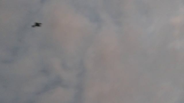 ЧЕРЕПУХУС УЧИТСЯ ЛЕТАТЬ!! УЛЕТЕЛ В БОЛОТО?? смотреть онлайн