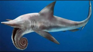 Геликоприон  -  доисторическая акула