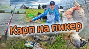 Карп на пикер! Ловля карпа на легкую снасть.