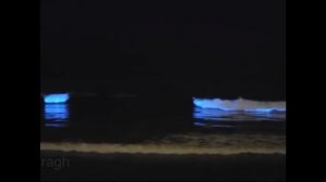 ? Светящийся пляж маленького острова на Мальдивах / Остров Вааду / Звездное море.