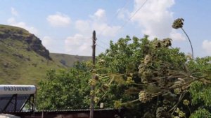 Армения. Бжни.