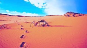 Talhah ibn Ubaydulloh R.A. | Abdulloh Domla