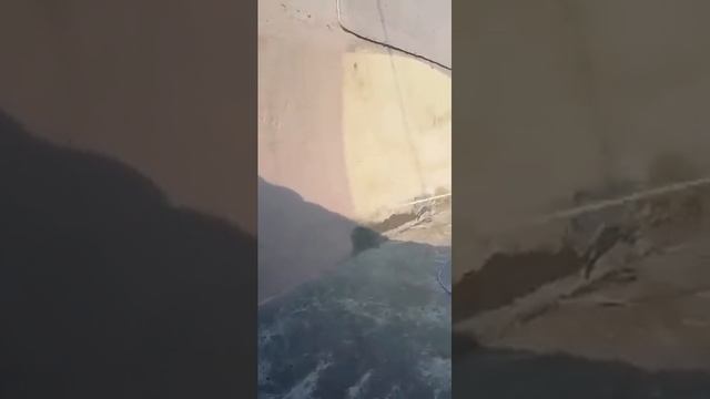 Покраска стен краскопультом безвоздушного распыления от окрасочного аппарата смотреть онлайн