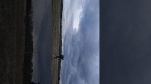 Вилли Кавасаки клх 250