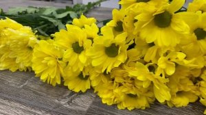 Что символизируют цветы на языке цветов