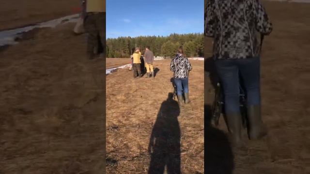 Весенняя река) Прогулка) смотреть онлайн