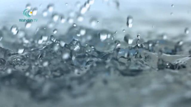 PENTINGNYA MEMPELAJARI ISLAM SECARA BERTAHAP - USTADZ ILHAM JAYA , LC , MA смотреть онлайн