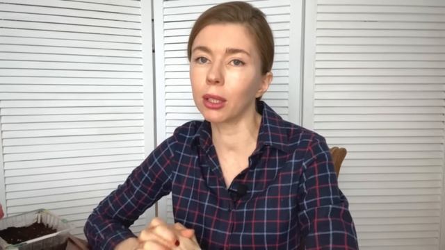 КОГДА СЕЯТЬ ТОМАТЫ. ПРОВЕРЕННЫЕ СПОСОБЫ ПОСЕВА ТОМАТОВ