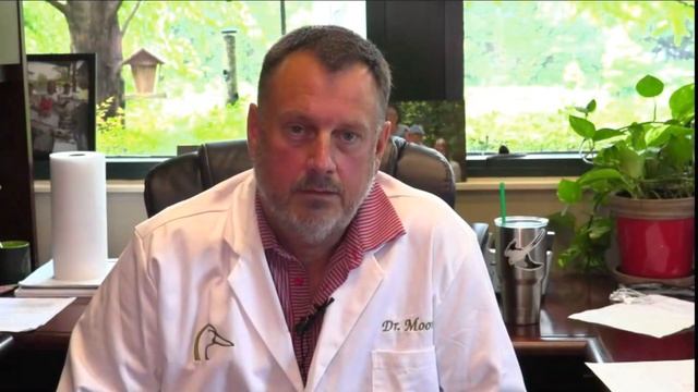 Birds Aren't Real | The Movement смотреть онлайн