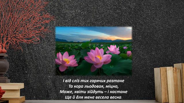 Декламація вірша "Contra spem spero!" Леся Українка смотреть онлайн