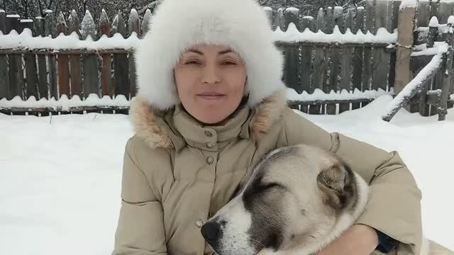 Новогоднее представление! Ведем мы с алабайкой Айлой! С Новым годом!