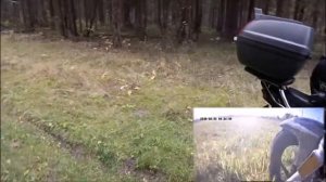 YBR 125 + резина МИТАС Н-03