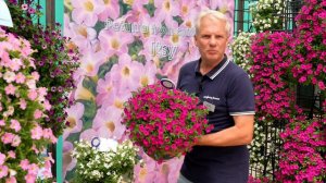 Onze Petunia serie Itsy | Syngenta Flowers 2023
