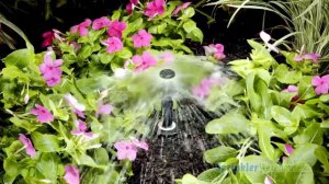 PCN-20 Hunter PC Umbrella Bubbler