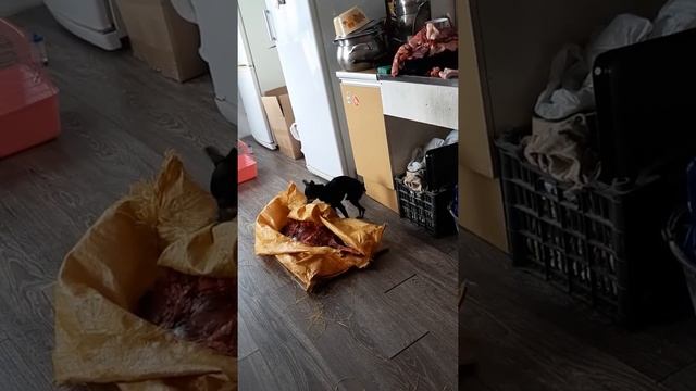 Как спрятать труп смотреть онлайн