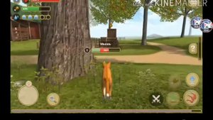 1 часть прохождения игры cat simulator ( вчера снимала )