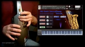 Librería de sonidos para Native Instruments Kontakt | Saxofón | Aerophone, WAV EWI VST