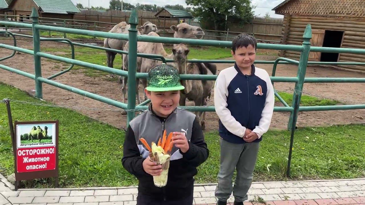 РЯЖСКИЙ ЗООПАРК
