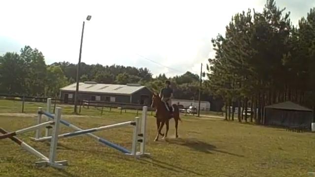 Dexter Gymnastic Line смотреть онлайн