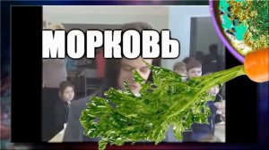 MADEVIL - ЛЕСНОЙ ГАВНАРЬ |MMV #78