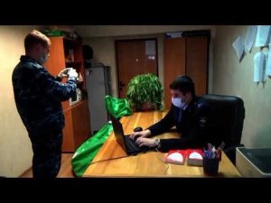 В Хабаровском крае суда ожидает местный житель за хранение тысячи кустов конопли