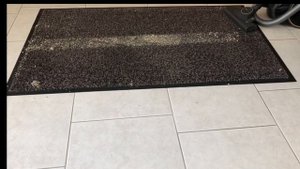 Comparison Electrolux Pure D8.2 and Miele Boost CX1