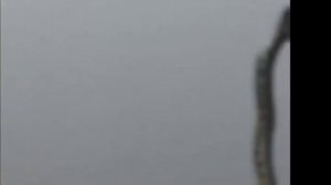 Мещерский национальный парк  Река Пра