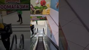 Ремонт телефонов