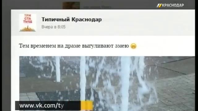 Купание питона в краснодарском фонтане вызвало бурное обсуждение в соцсетях