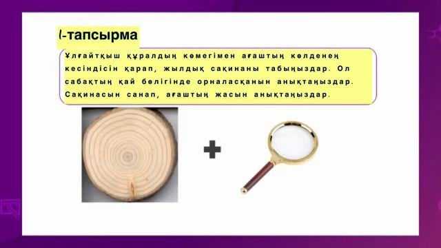 Зертханалық жұмыс "Сабақтың ішкі құрылысын зерттеу. Тамыр аймақтарын зерттеу". 7-сынып