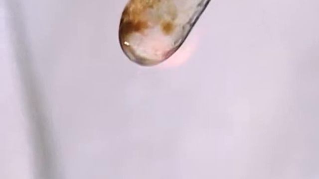 Химия 12 класс Химия и жизнь Биохимия Определение азота в органических соединениях смотреть онлайн