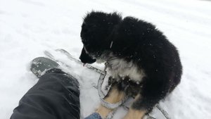 Ида - 5 месяцев