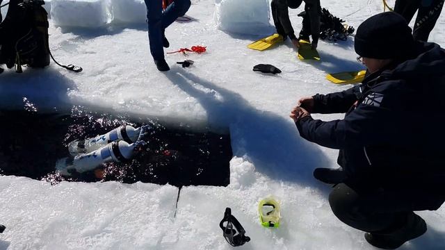 7.04.18. Погружение под лед. Ice diving. Сделаем это для Вас! Pro Diving Club. смотреть онлайн
