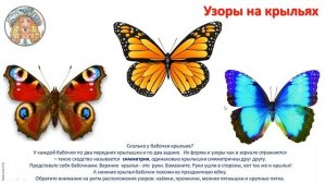 1 кл.ИЗО.13 урок. Узоры на крыльях