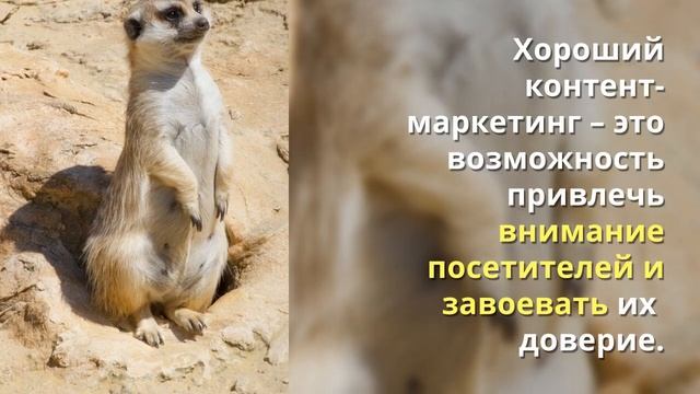 Что такое контент-маркетинг?