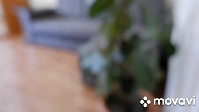 2х комнатная квартира на проспект Октября 164/1, Уфа смотреть онлайн