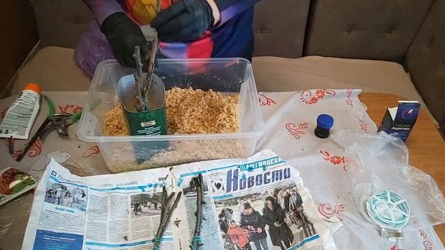 Как сохранить и укоренить черенки плодовых деревьев? смотреть онлайн