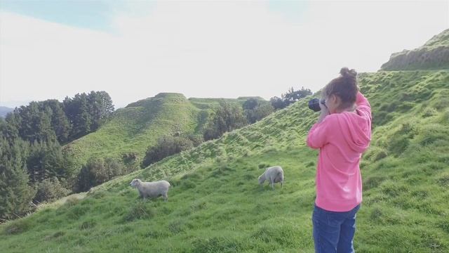 ПАРК PAPAMOA HILLS - ВИДЫ, ОВЦЫ, ОКЕАН /// ДОСТОПРИМЕЧАТЕЛЬНОСТИ НОВОЙ ЗЕЛАНДИИ смотреть онлайн