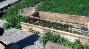 Самодельная корморезка для скота