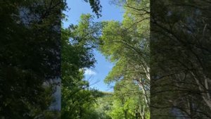 Река Большая Каменка 29.05.2022