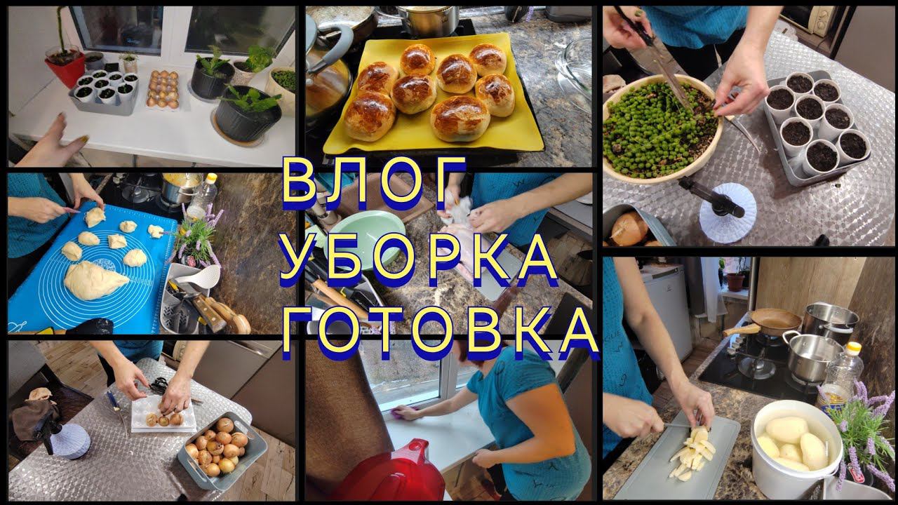ОТРАВА ОТ ТЛИ / ЛУК НА ЗЕЛЕНЬ / БУЛОЧКИ...