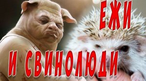 охота на ежей и свинолюди