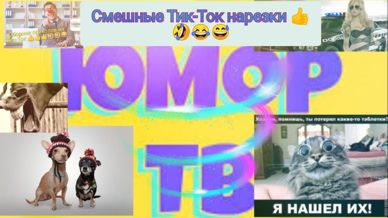 Кто в доме хозяин?????